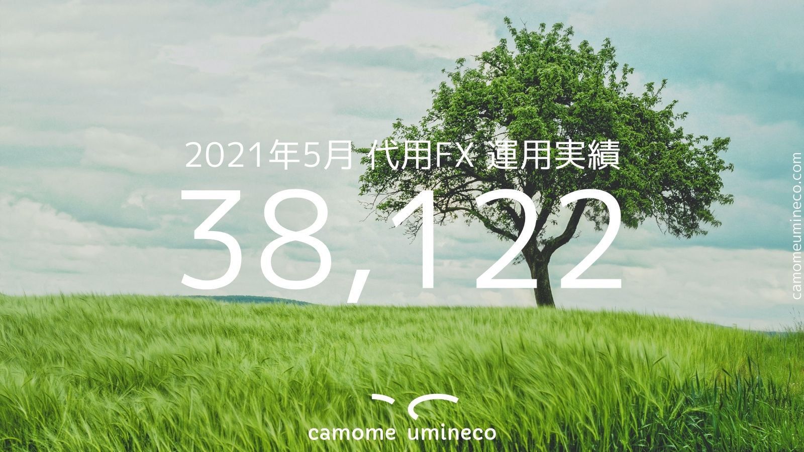 【auカブコム】2021年5月 代用FX 運用実績 38,122円