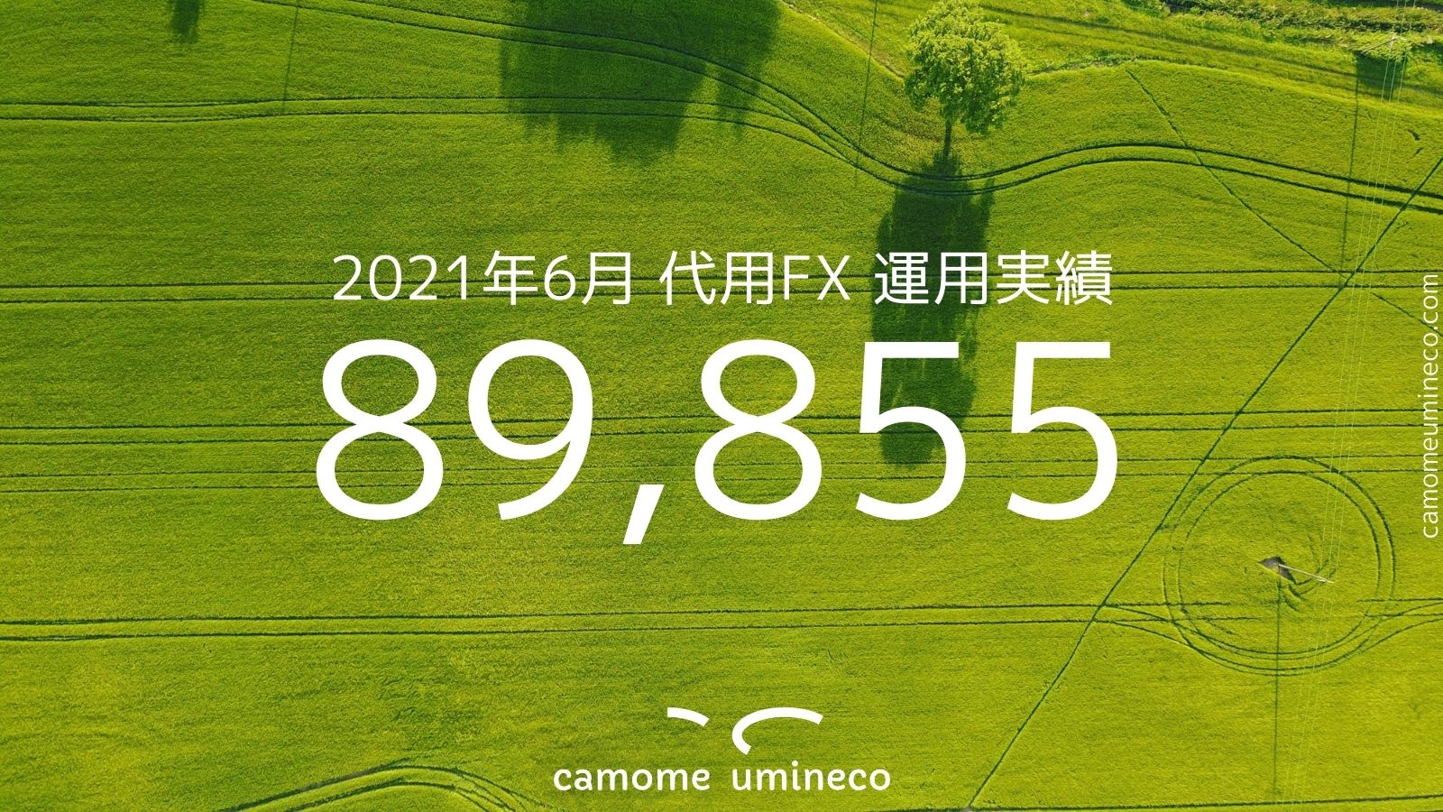 【DMM auカブコム】2021年6月 代用FX 運用実績 89,855円