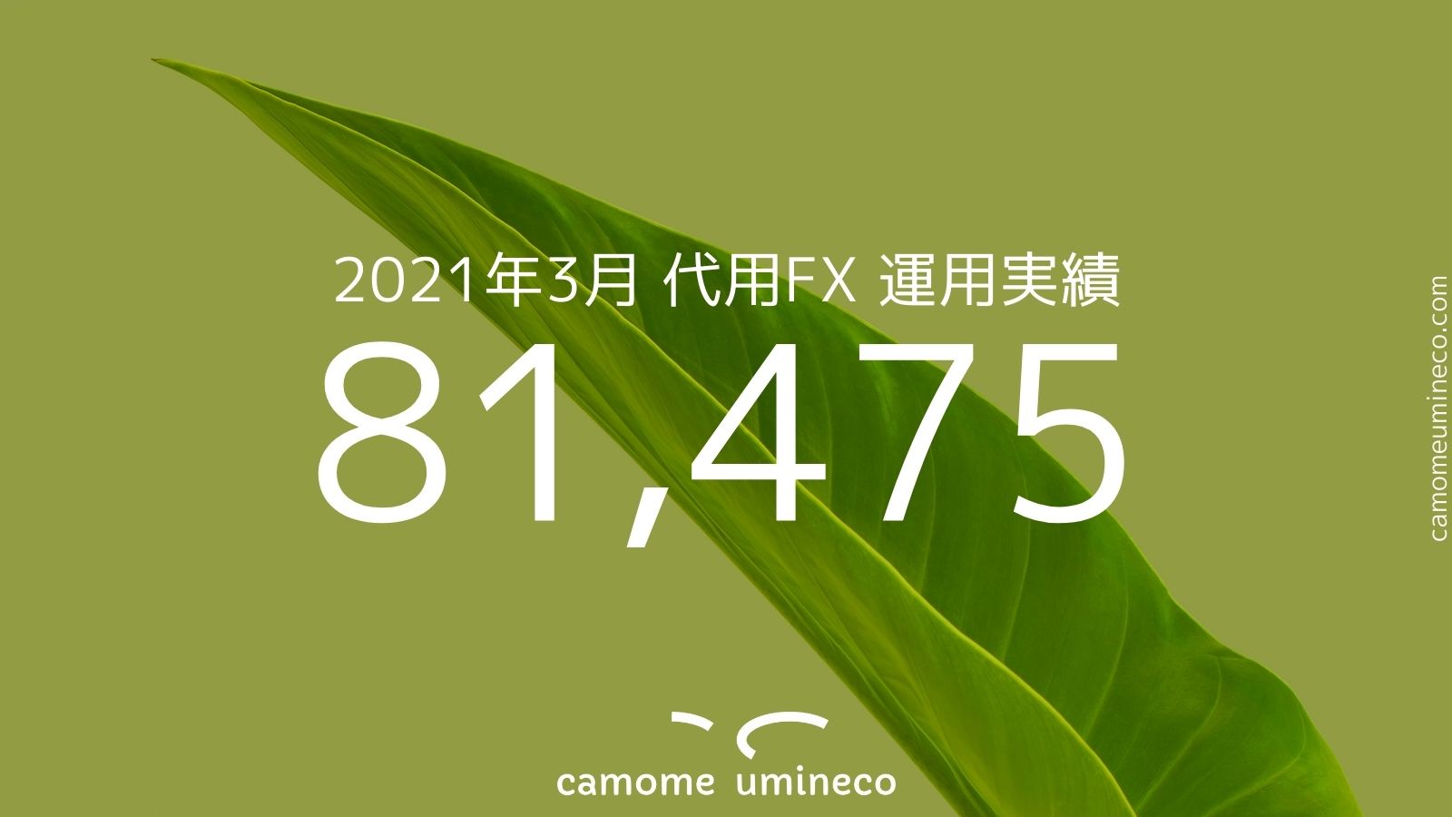 【auカブコム】2021年3月 代用FX 運用実績 81,475円