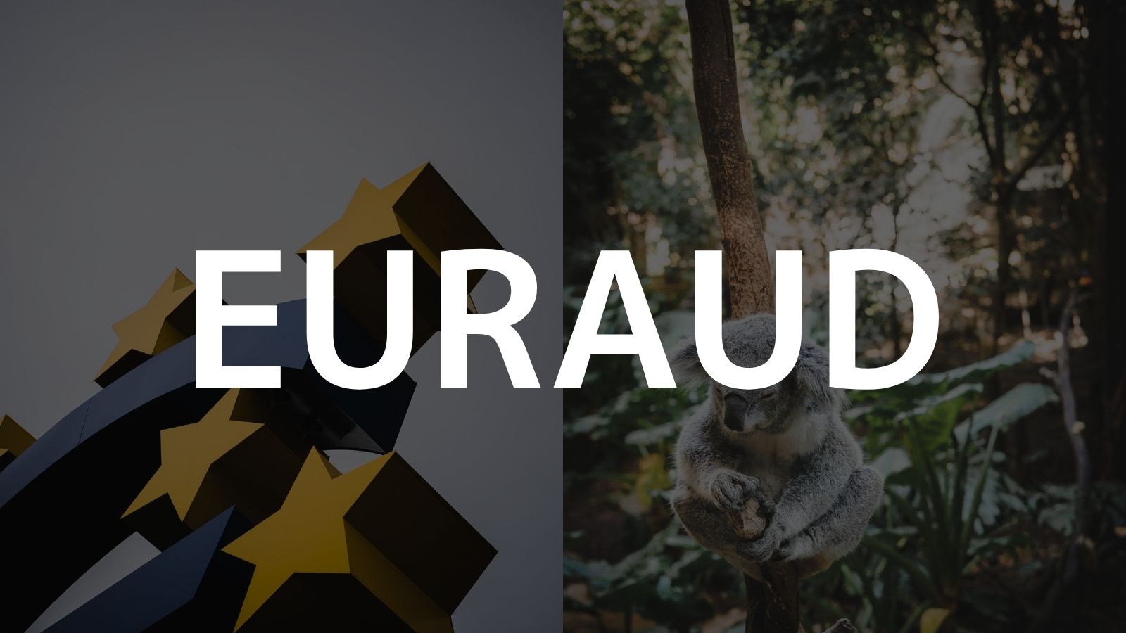 【EURAUD】ユーロ豪ドルのFX自動売買設定