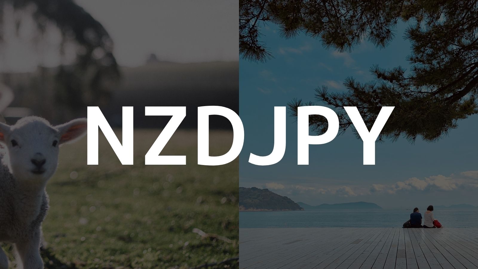 【NZDJPY】NZドル円のFX自動売買設定