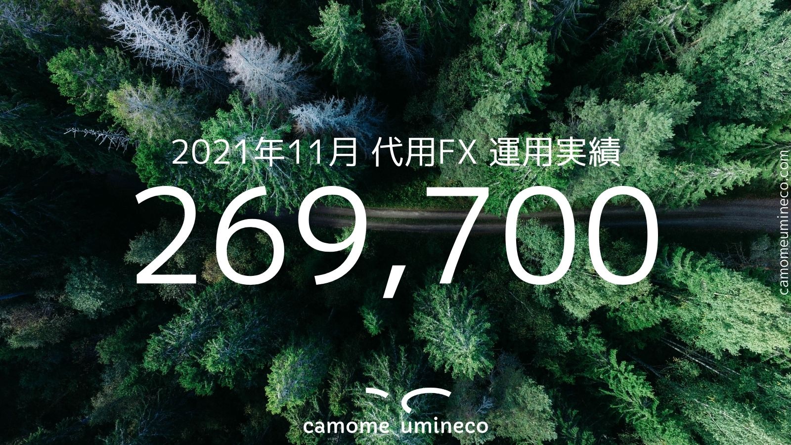 【DMM】2021年11月 代用FX 運用実績 269,700円