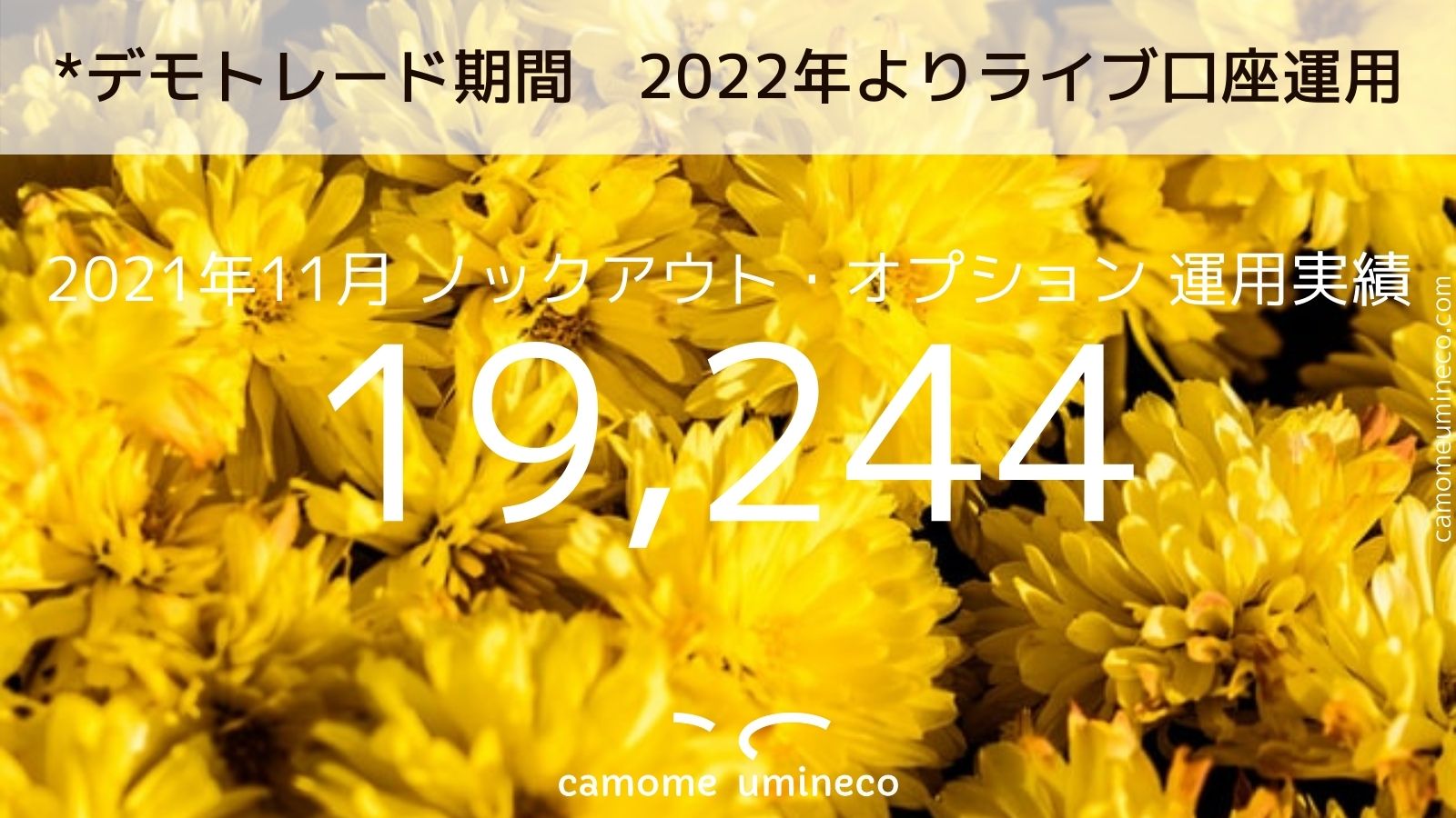 【ノックアウト・オプション】2021年11月 運用実績 19,244円