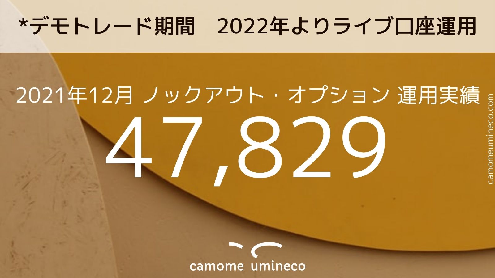 【ノックアウト・オプション】2021年12月 運用実績 47,829円