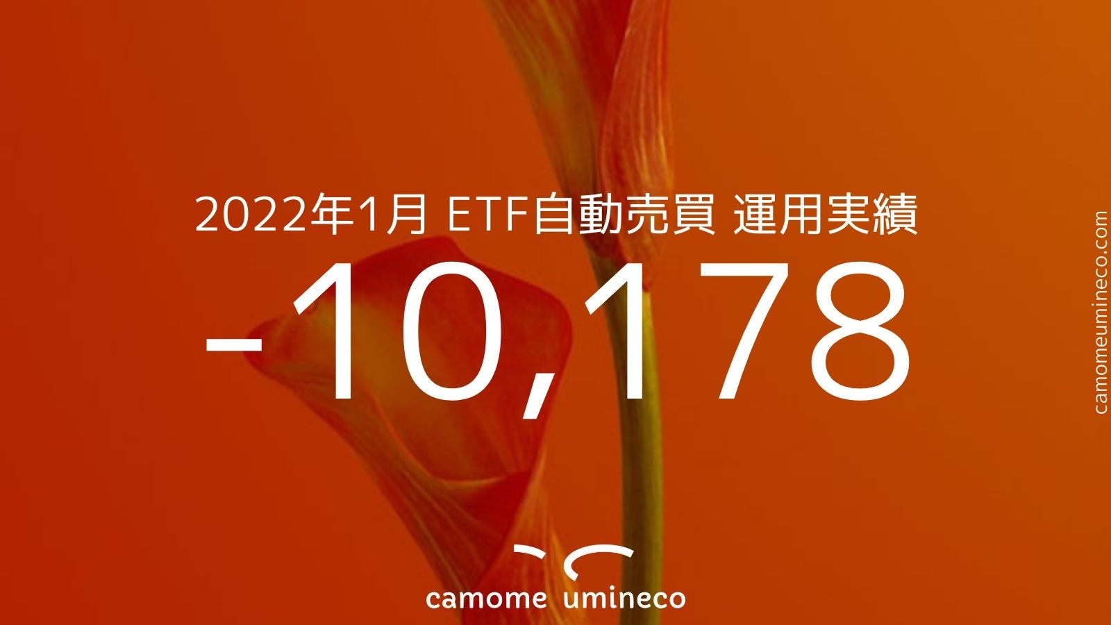 【トライオートETF】2022年1月 運用実績 -10,178円