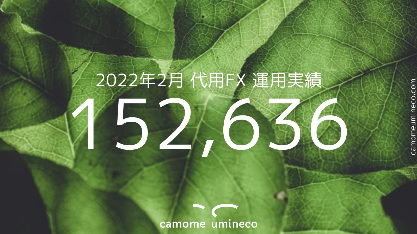 【DMM】2022年2月 代用FX 運用実績 152,636円