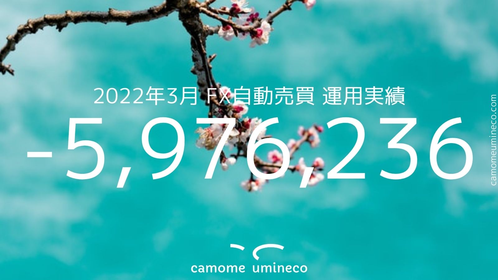 【トライオートFX】2022年3月 運用実績-5,976,236円