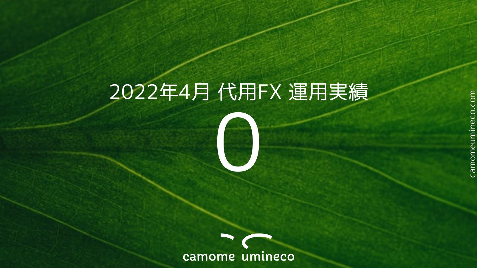 【DMM】2022年4月 代用FX 運用実績 0円