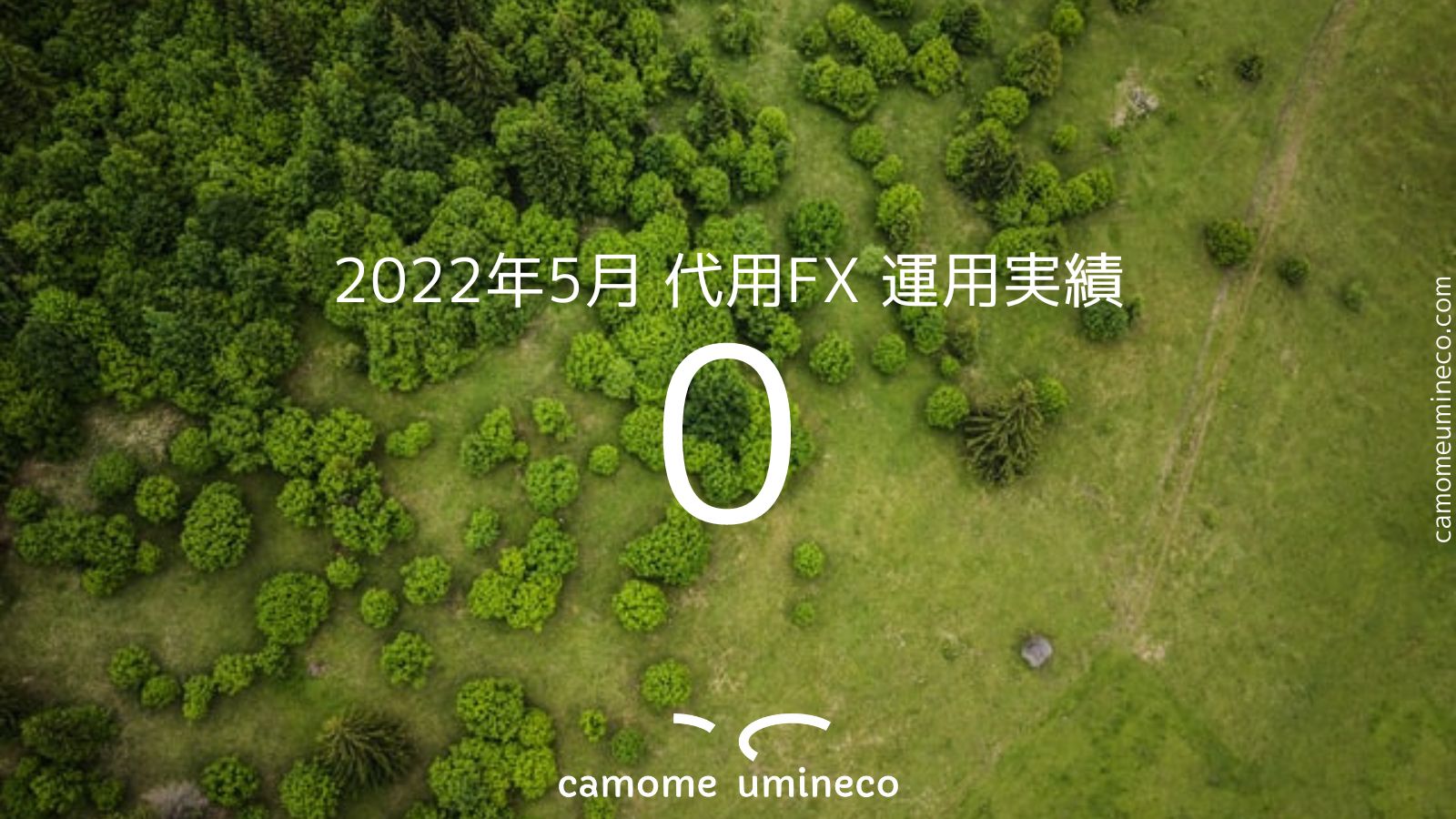 【DMM】2022年5月 代用FX 運用実績 0円