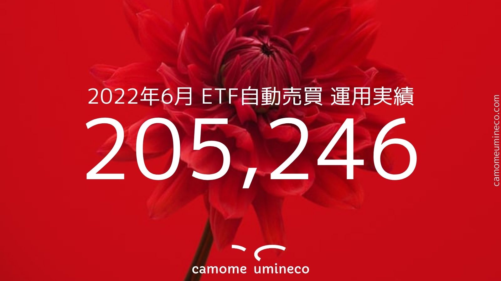 【ETF自動売買】2022年6月 運用実績 205,246円 トライオートETF ナスダックトラリピ