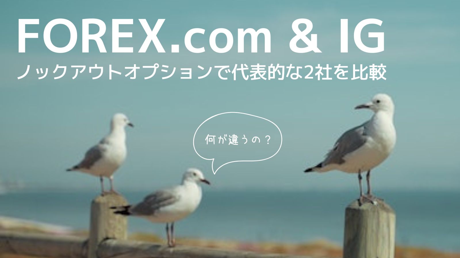 FOREX.comとIG証券のノックアウトオプションを比較 #カモメのノックアウト